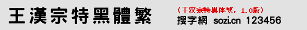 王漢宗特黑體繁