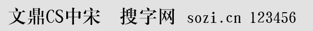 文鼎CS中宋簡