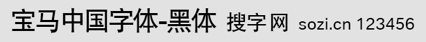 寶馬中國黑體