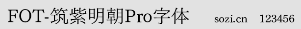 筑紫明朝體細加粗體(FOT-Tsuk