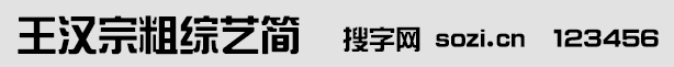 王漢宗粗綜藝簡
