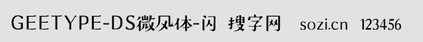 GEETYPE-DS΢L(fng)w-W