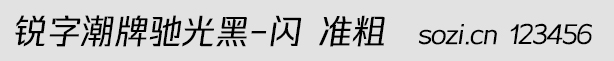 銳字潮牌馳光黑-閃 準粗