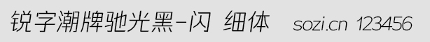 銳字潮牌馳光黑-閃 細體